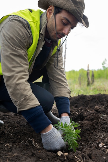 Reforestación realizada por grupo voluntario