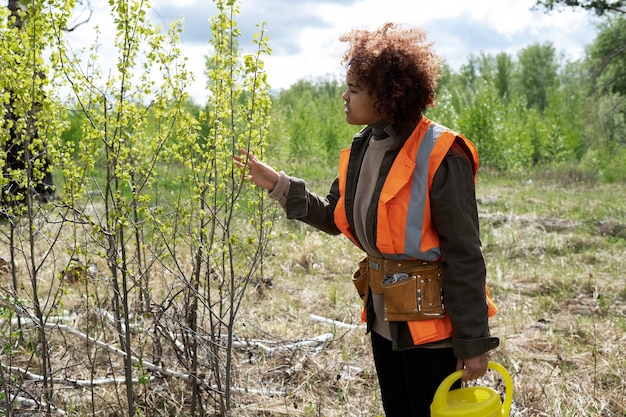 Reforestación realizada por grupo voluntario