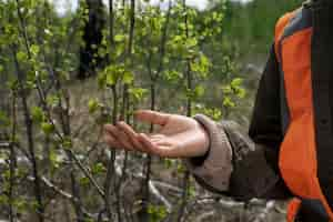 Foto gratuita reforestación realizada por grupo voluntario