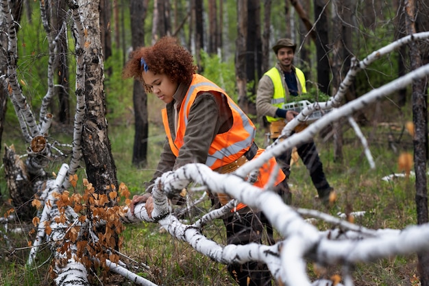 Reforestación realizada por grupo voluntario