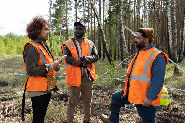 Reforestación realizada por grupo voluntario