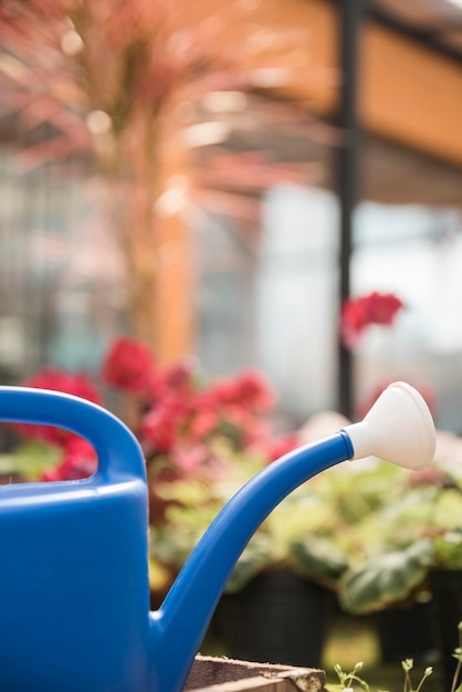 Una regadera azul delante de plantas florales borrosas