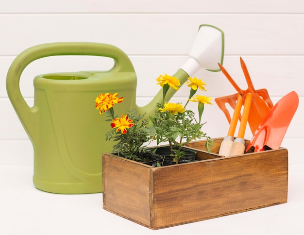 Regadera cerca de flores y equipo de jardinería en caja cerca de pared