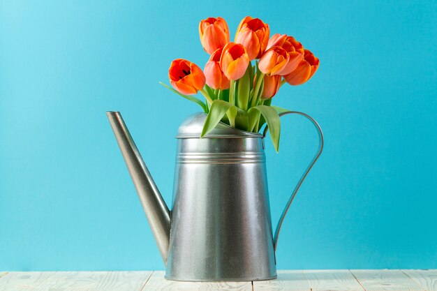 Regadera metálica con tulipanes y fondo azul
