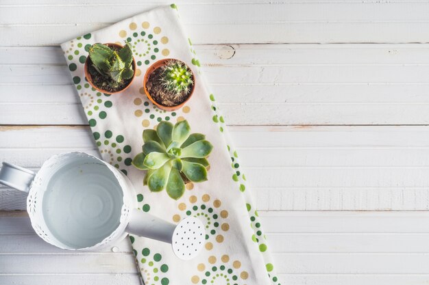 Regadera y plantas en maceta sobre la servilleta en la mesa de madera