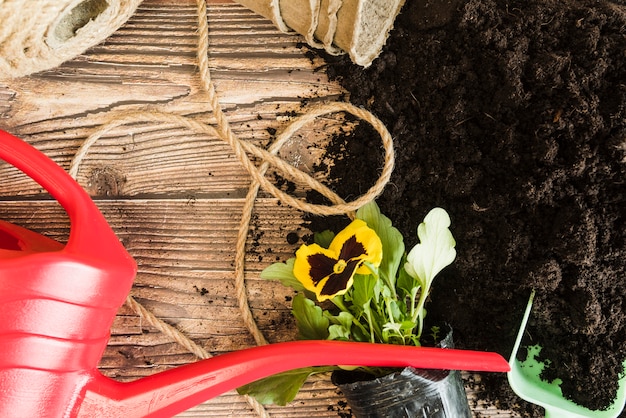 Regadera roja; cuerda; pote de flor pensamiento con suelo fértil en escritorio de madera