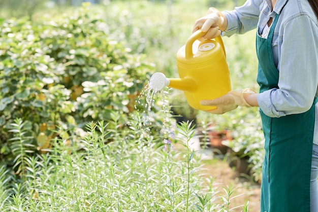 Regando plantas en el jardín