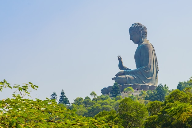 Foto gratuita religión kong hong cabeza templo