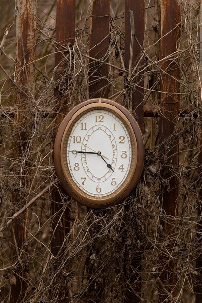 Reloj circular al aire libre bodegón