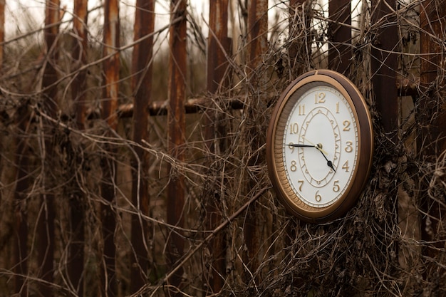 Foto gratuita reloj circular al aire libre bodegón