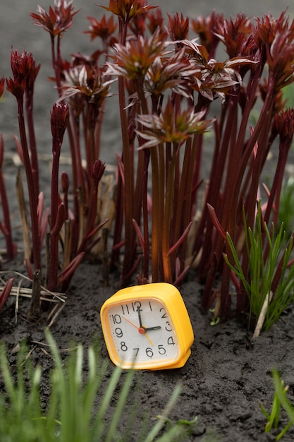 Reloj cuadrado al aire libre bodegón