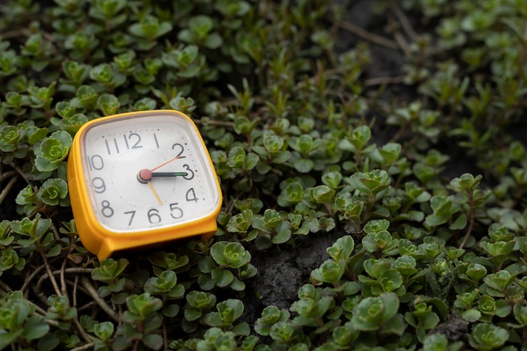 Foto gratuito reloj cuadrado al aire libre naturaleza muerta