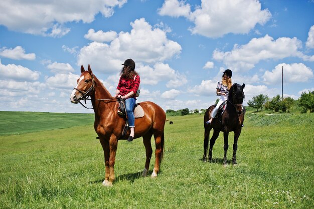 Remolque chicas guapas jóvenes montando caballos en un campo en un día soleado