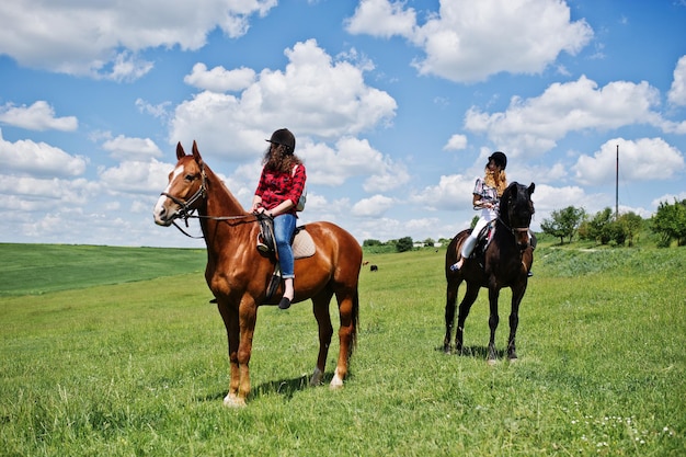 Remolque chicas guapas jóvenes montando caballos en un campo en un día soleado