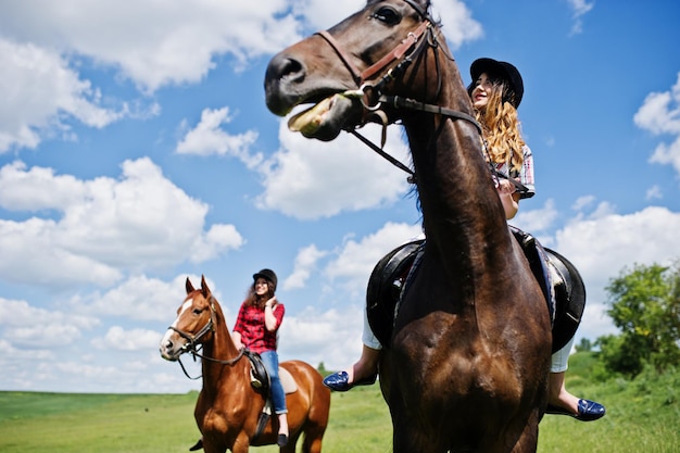 Remolque chicas guapas jóvenes montando caballos en un campo en un día soleado