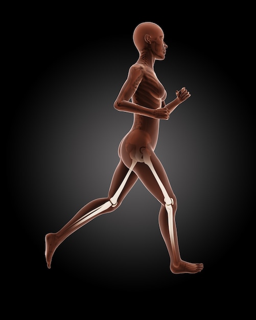Render 3D de un esqueleto médico femenino corriendo