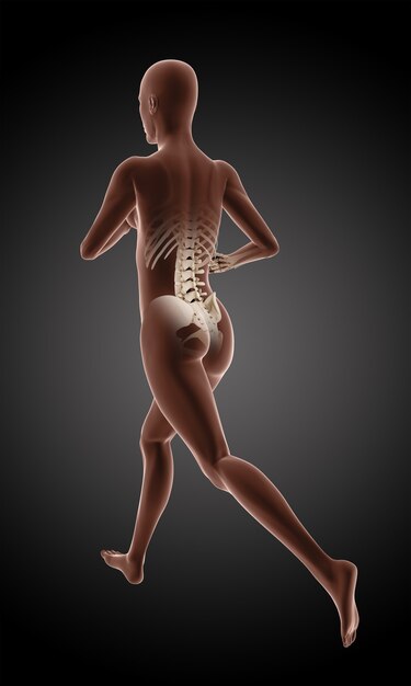 Render 3D de un esqueleto médico femenino corriendo