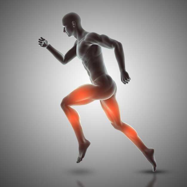 Render 3d de figura masculina corriendo destacando musculos usados