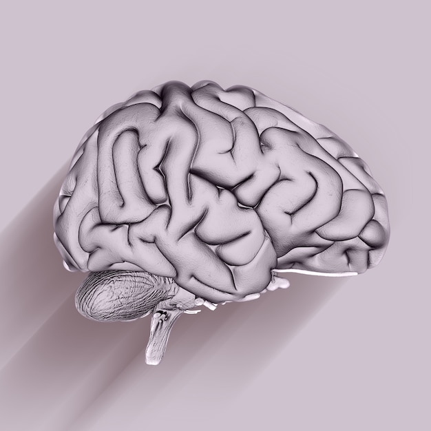 Render 3D de un fondo médico con cerebro