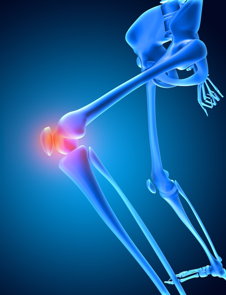 Foto gratuito render 3d de una imagen médica de un esqueleto con hueso de la rodilla resaltado