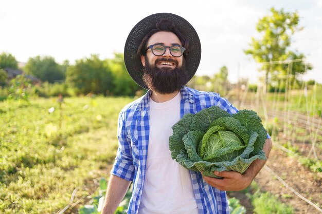 Repollo en escabeche en manos de un agricultor sonriente. Granjero de hombre sosteniendo repollo en follaje verde. Concepto de cosecha