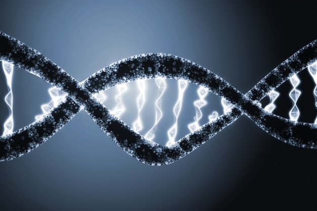 Representación de la cadena de ADN humano