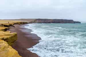 Foto gratuita reserva nacional de paracas en perú