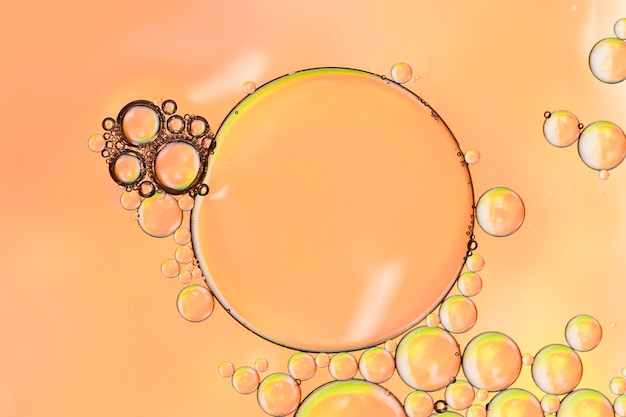 Resumen de cerca con gran burbuja redonda