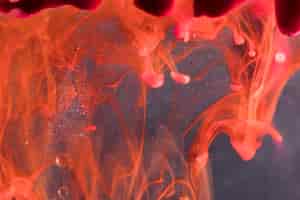 Foto gratuita resumen concepto de lava submarina