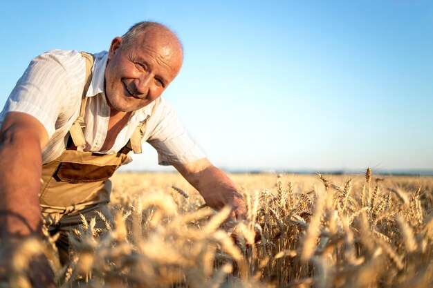 Retrato del agricultor agrónomo senior en campo de trigo, control de cultivos antes de la cosecha