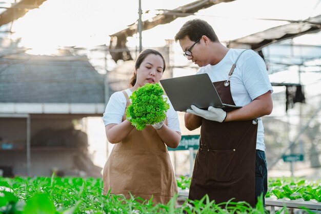 Retrato de un agricultor asiático y una mujer que trabajan con una laptop en una granja hidropónica de vegetales orgánicos. Propietario del jardín de ensaladas hidropónicas comprobando la calidad de las verduras en la plantación de invernadero.