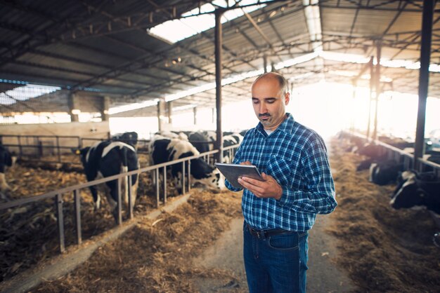 Retrato de agricultor de mediana edad de pie en la granja de vacas y con tableta