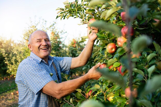 Retrato de agricultor senior trabajando en huerto de manzanas