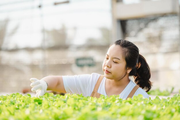 Retrato de una agricultora asiática mirando verduras en el campo y comprobando la calidad de la cosecha. Concepto de granja orgánica.