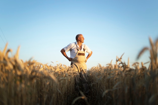 Foto gratuita retrato de agrónomo agricultor senior en campo de trigo mirando en la distancia