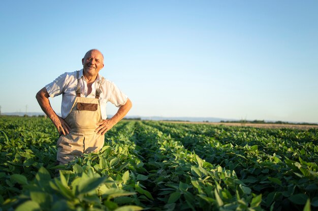 Retrato del agrónomo agricultor trabajador senior de pie en el campo de soja control de cultivos antes de la cosecha