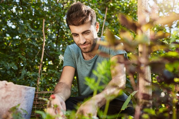 Retrato al aire libre de un hombre caucásico barbudo maduro feliz sonriendo, trabajando en el jardín cerca de la casa de campo, recogiendo bayas, preparándose para un desayuno saludable de cerca.