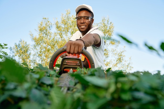 retrato, de, alegre, hombre africano, seto de poda, con, trimmer