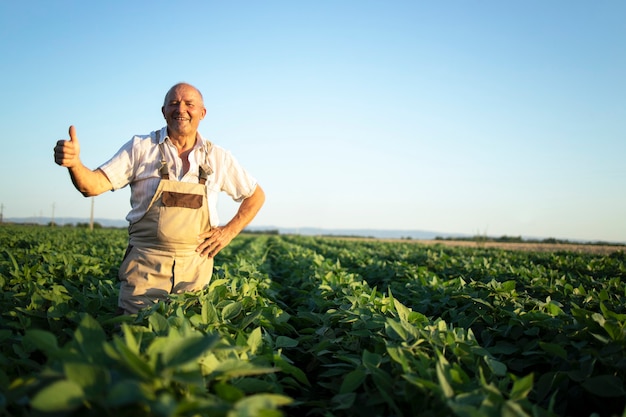Retrato de alto trabajador agrónomo agricultor en el campo de soja sosteniendo Thumbs up comprobar cultivos antes de la cosecha