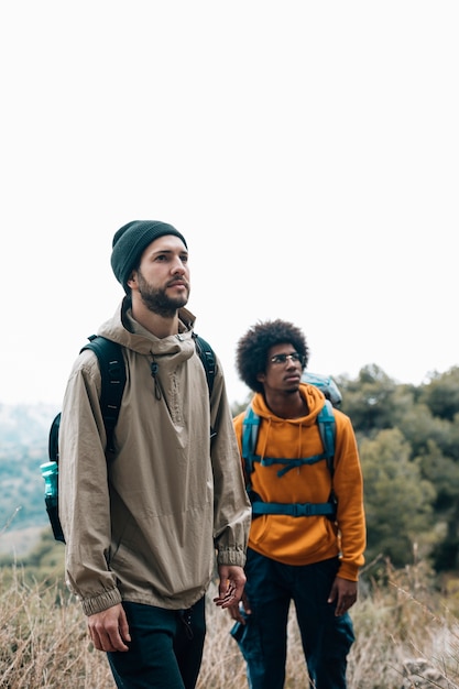 Retrato de amigos multiétnicos masculinos senderismo en el bosque