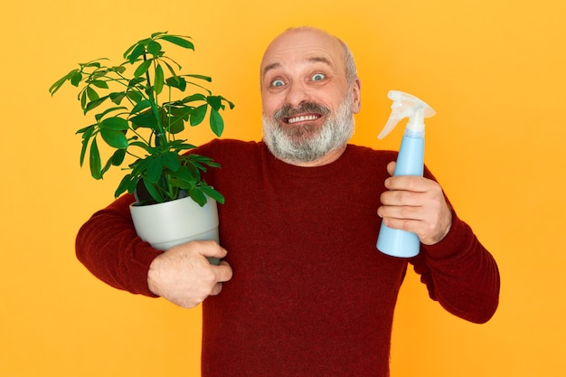 Retrato de anciano jardinero con barba gris sosteniendo atomizador y planta de interior con hojas verdes
