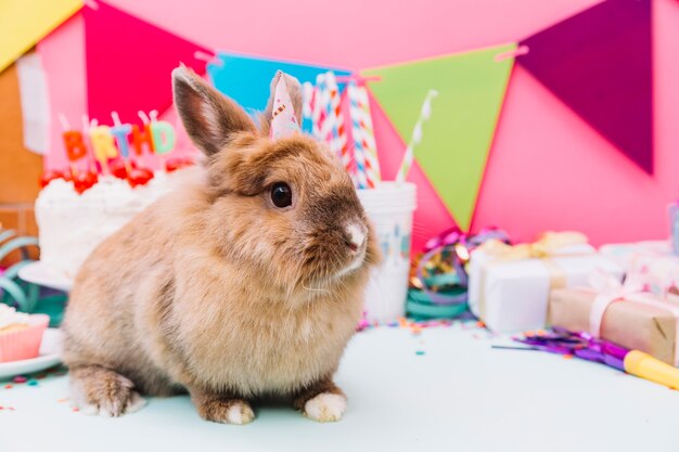 Retrato de un conejo con un pequeño sombrero de fiesta sentado frente a un pastel de cumpleaños