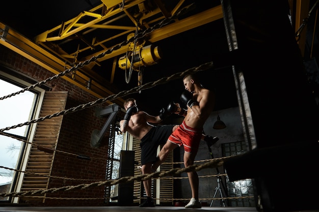 Retrato de cuerpo entero de dos kickboxers masculinos sparring dentro del ring de boxeo en el gimnasio moderno: hombre en pantalones negros pateando a su oponente en pantalones cortos rojos. Concepto de entrenamiento, entrenamiento, artes marciales y kickboxing.