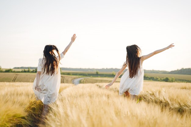 Retrato de dos hermanas en vestidos blancos con pelo largo en un campo