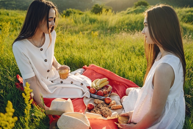 Retrato de dos hermanas en vestidos blancos con pelo largo en un campo