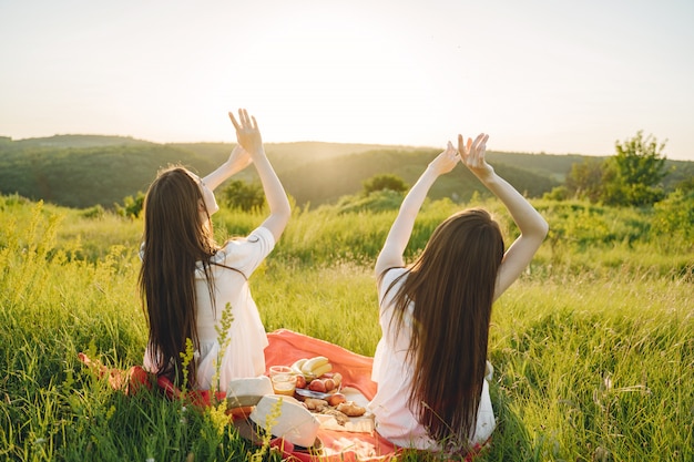 Retrato de dos hermanas en vestidos blancos con pelo largo en un campo