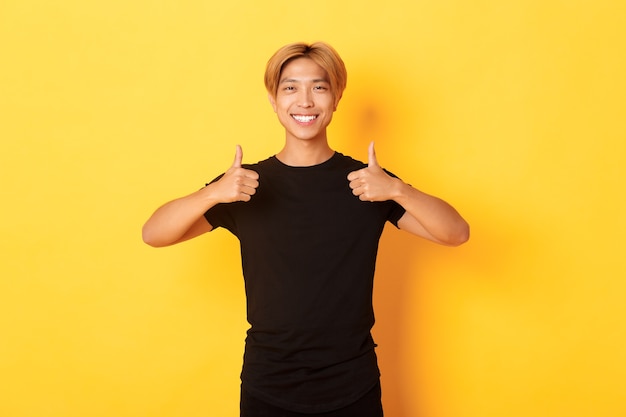 Retrato de estudiante asiático guapo satisfecho mostrando pulgar hacia arriba en aprobación, pared amarilla de pie