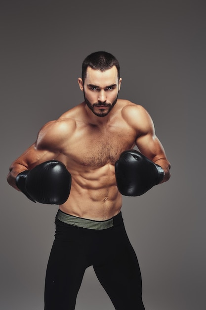 Retrato de estudio de un boxeador atlético brutal sin camisa con guantes de boxeo negros sobre fondo gris.