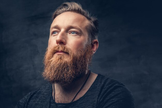 Retrato de estudio de hombre hipster barbudo pelirrojo de ojos azules sobre fondo gris.