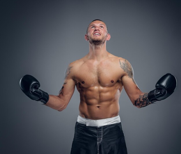 Retrato de estudio del luchador de boxeo sin camisa aislado sobre fondo gris.